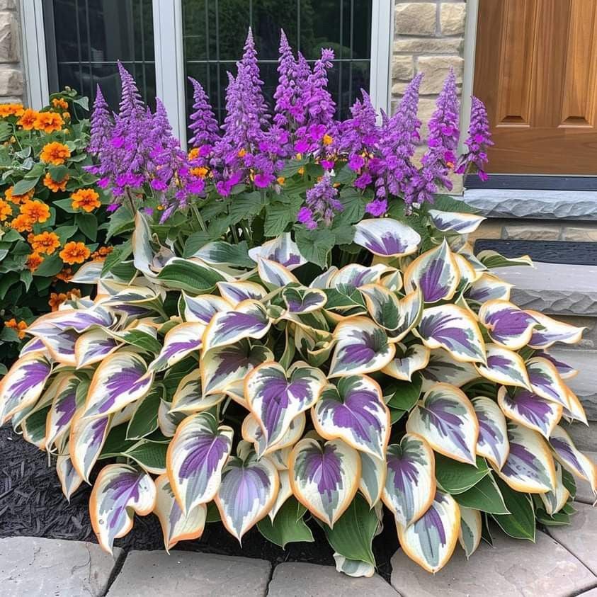 From Seed to Stunning – Hosta Magic 🌿Rare Hosta Seeds🌿