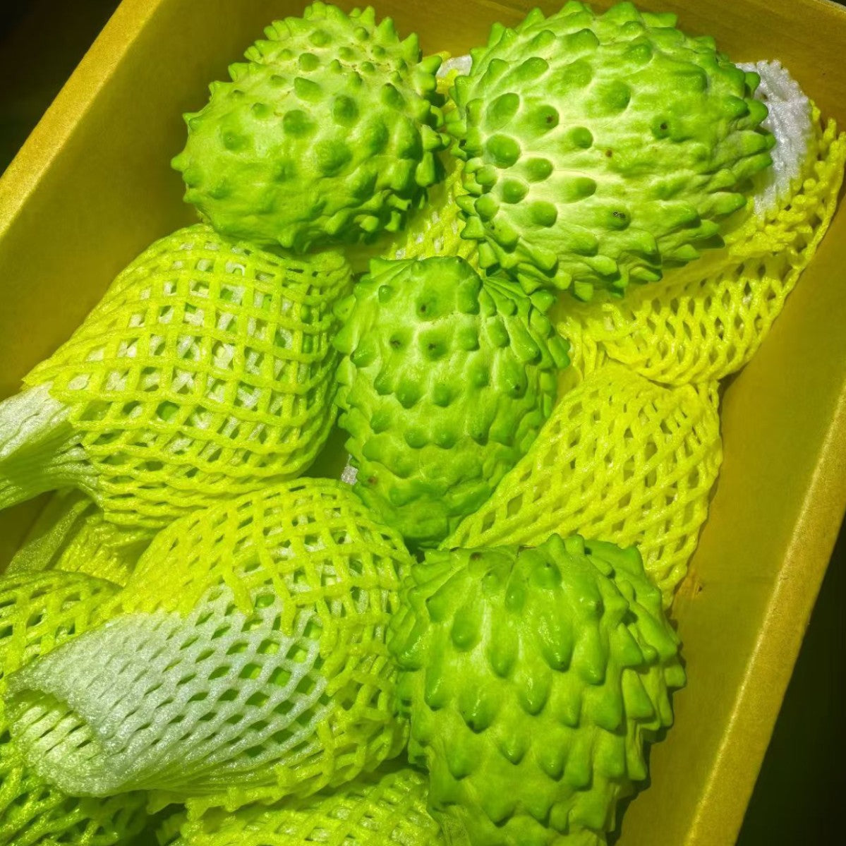 🌱Sugar Apple Seeds – 50grains Grow Exotic Tropical Fruit at Home 🌴-wsm