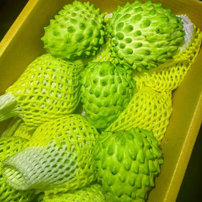 🌱Sugar Apple Seeds – 50grains Grow Exotic Tropical Fruit at Home 🌴-wsm